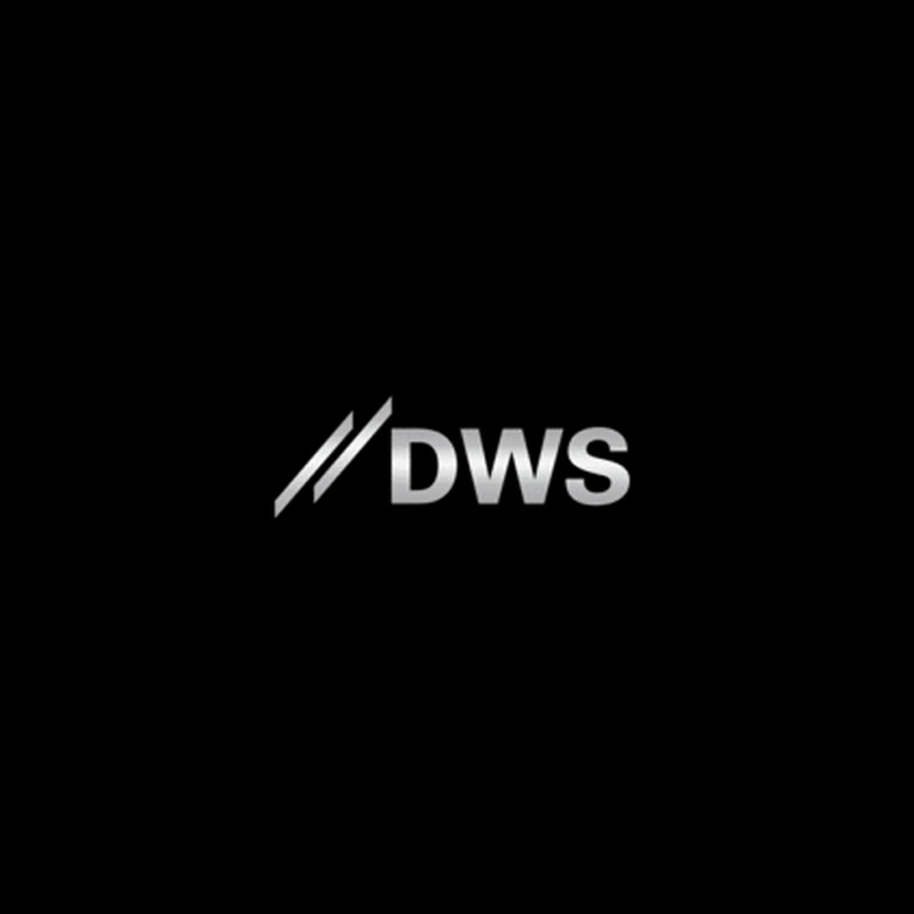 Dws_1_1.jpg